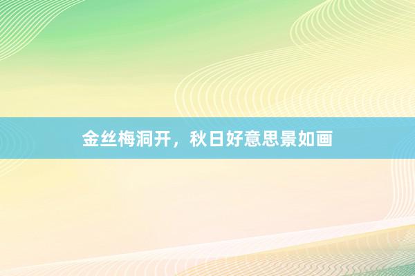 金丝梅洞开，秋日好意思景如画