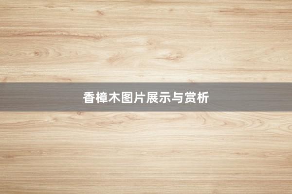 香樟木图片展示与赏析