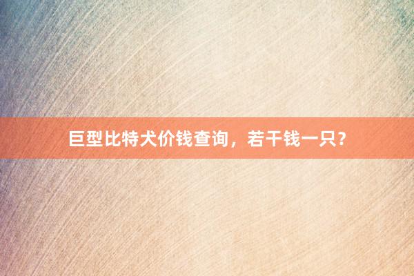 巨型比特犬价钱查询,若干钱一只?