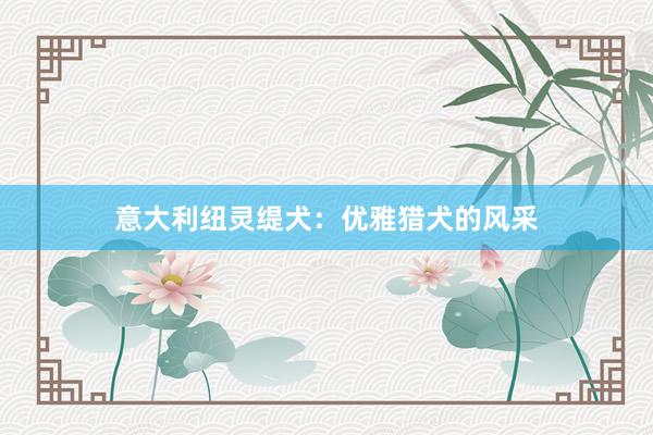 意大利纽灵缇犬:优雅猎犬的风采